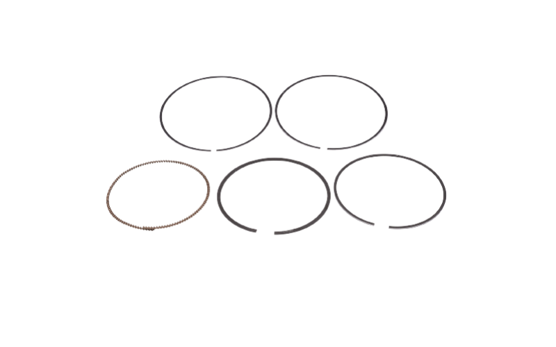 Piston & Ring Set